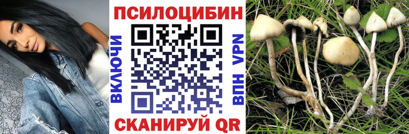 Галлюциногенные грибы Magic Shrooms  наркота  Калтан 
